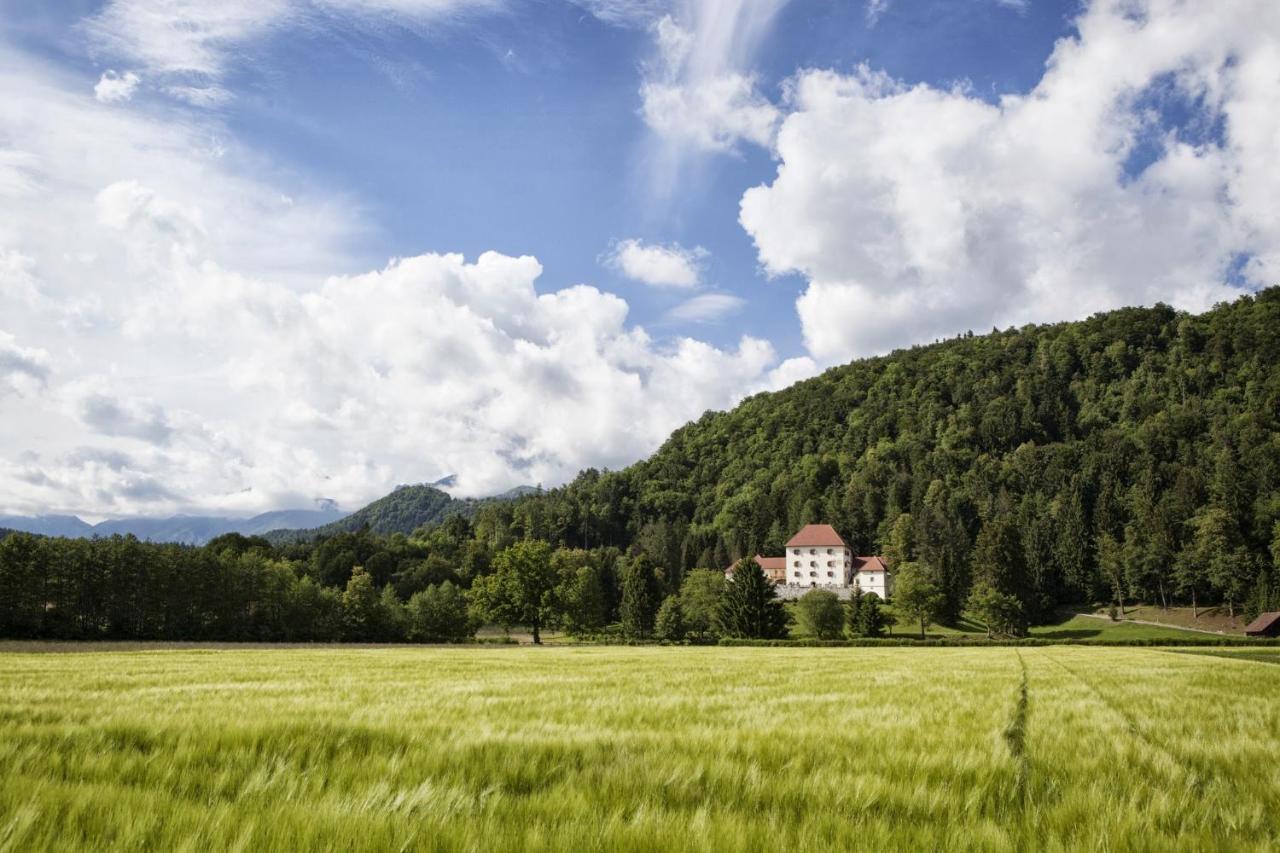 Villa Grad Strmol à Cerklje na Gorenjskem Extérieur photo