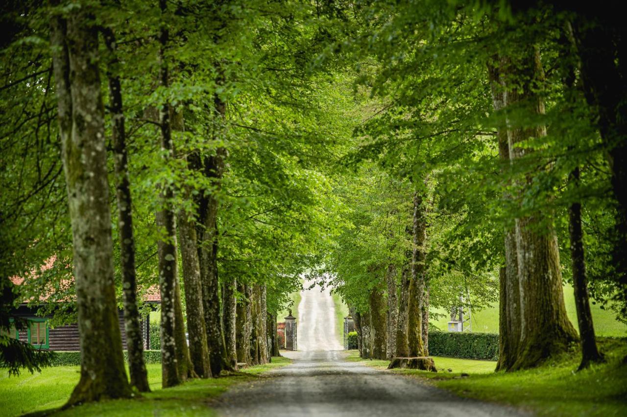 Villa Grad Strmol à Cerklje na Gorenjskem Extérieur photo