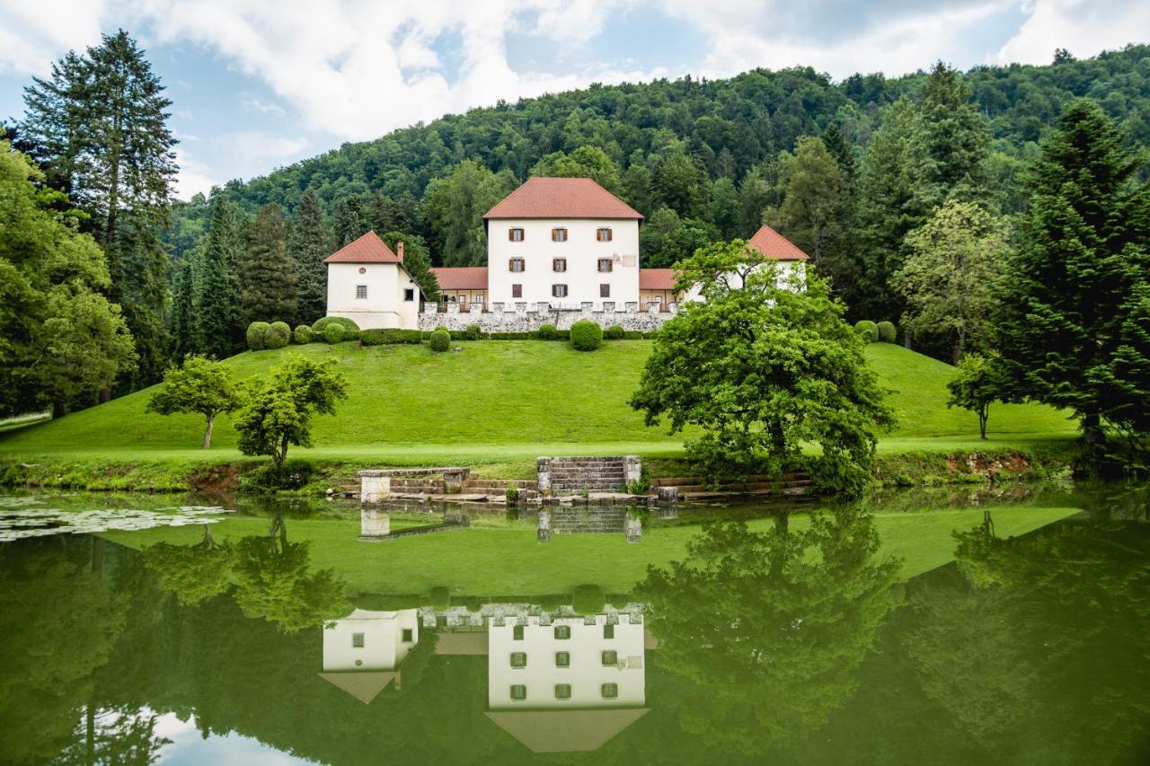 Villa Grad Strmol à Cerklje na Gorenjskem Extérieur photo