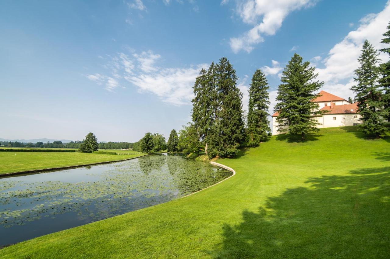 Villa Grad Strmol à Cerklje na Gorenjskem Extérieur photo