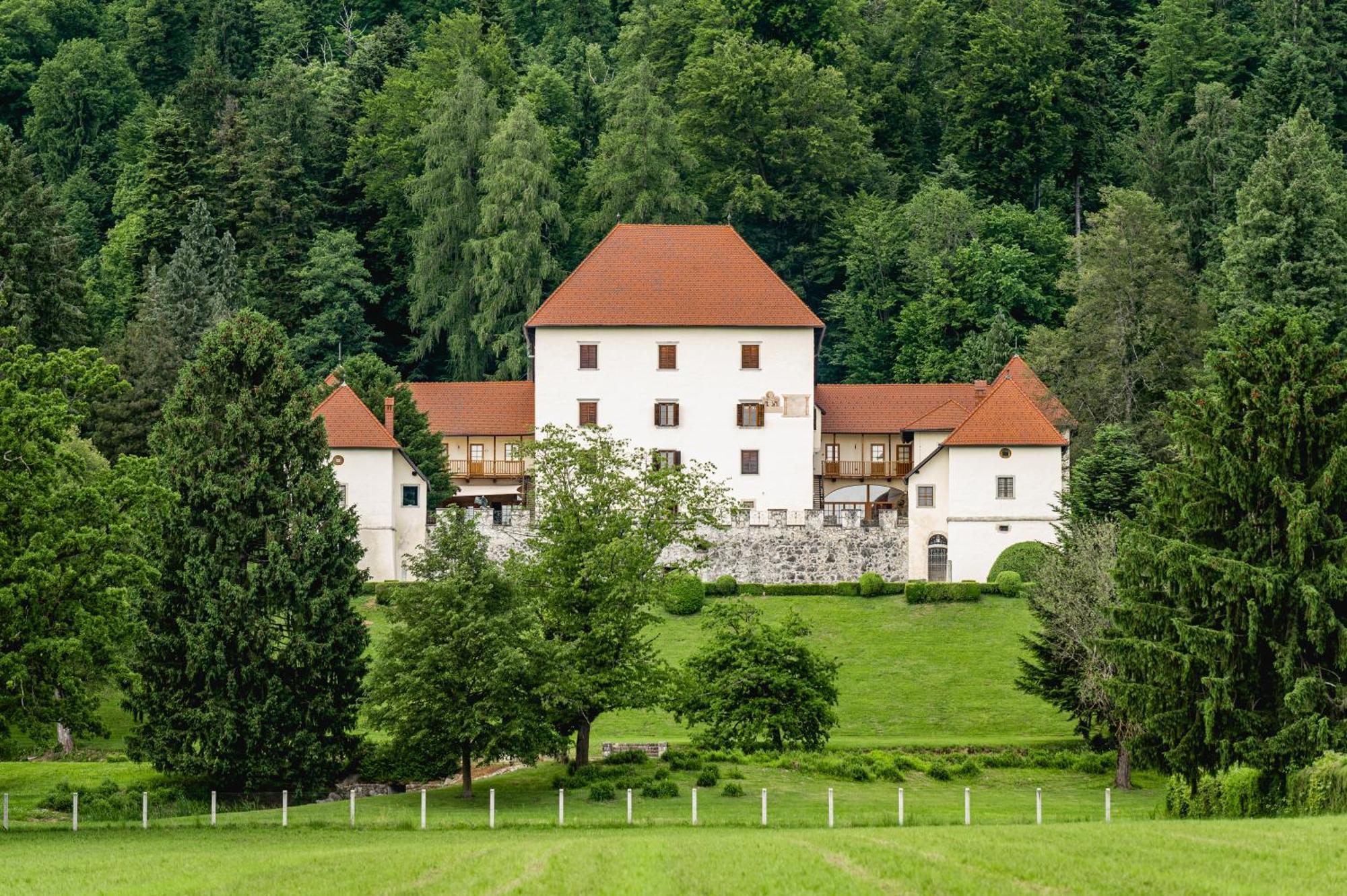 Villa Grad Strmol à Cerklje na Gorenjskem Extérieur photo