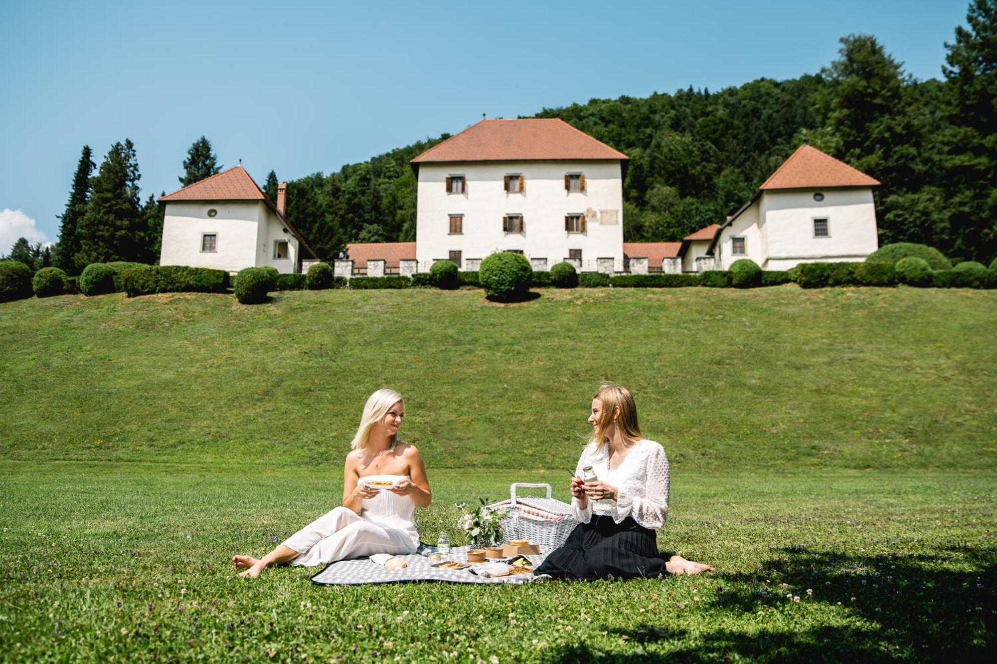 Villa Grad Strmol à Cerklje na Gorenjskem Extérieur photo