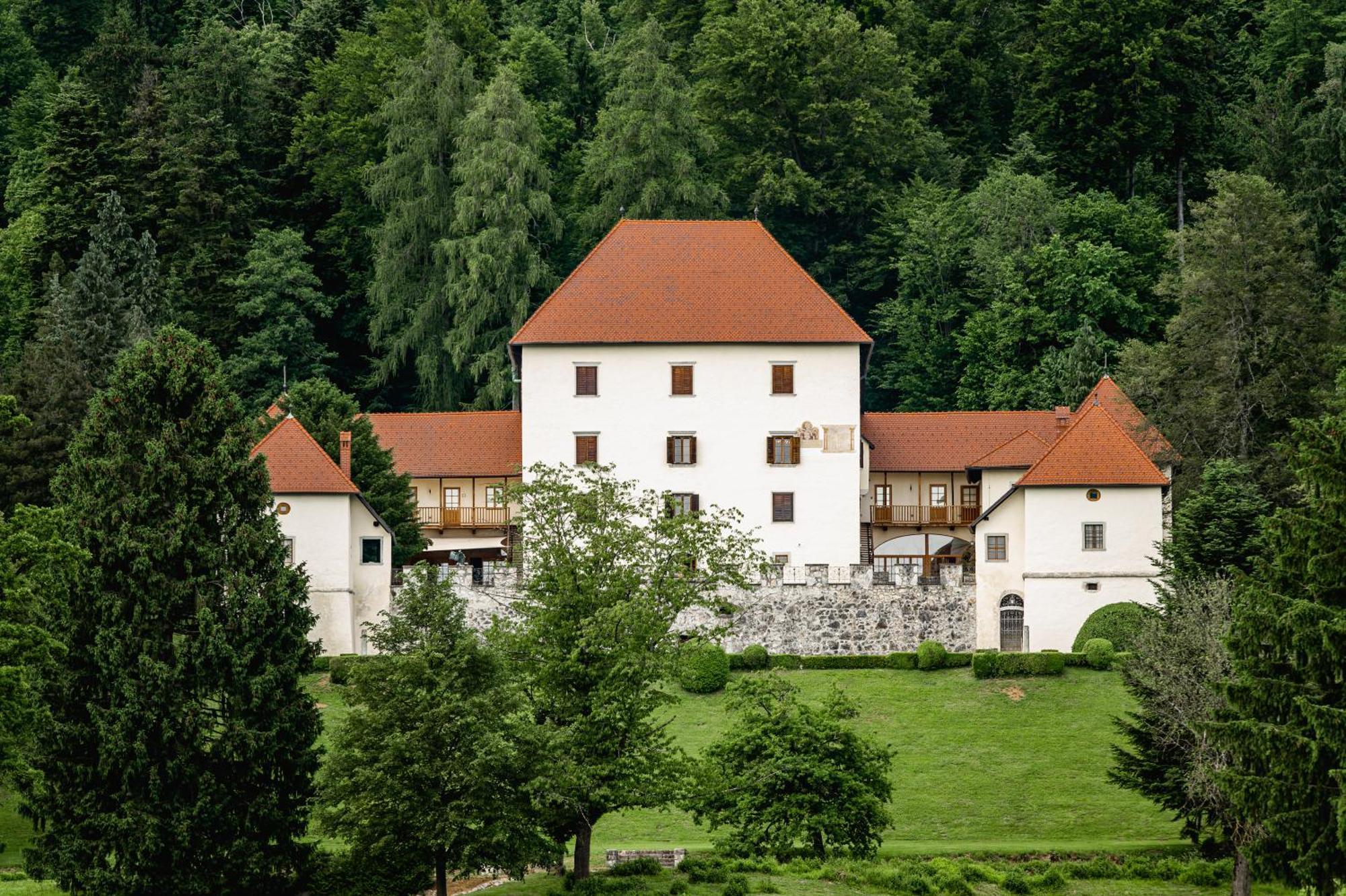 Villa Grad Strmol à Cerklje na Gorenjskem Extérieur photo